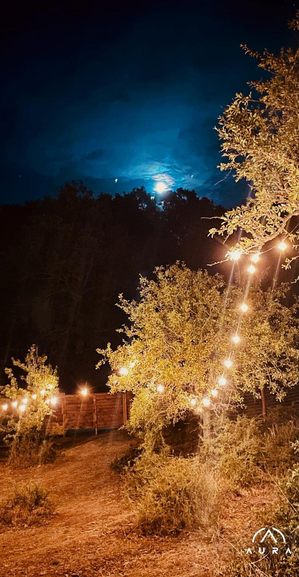 Hotel Aura - Glamping Experience Accettura Exterior foto